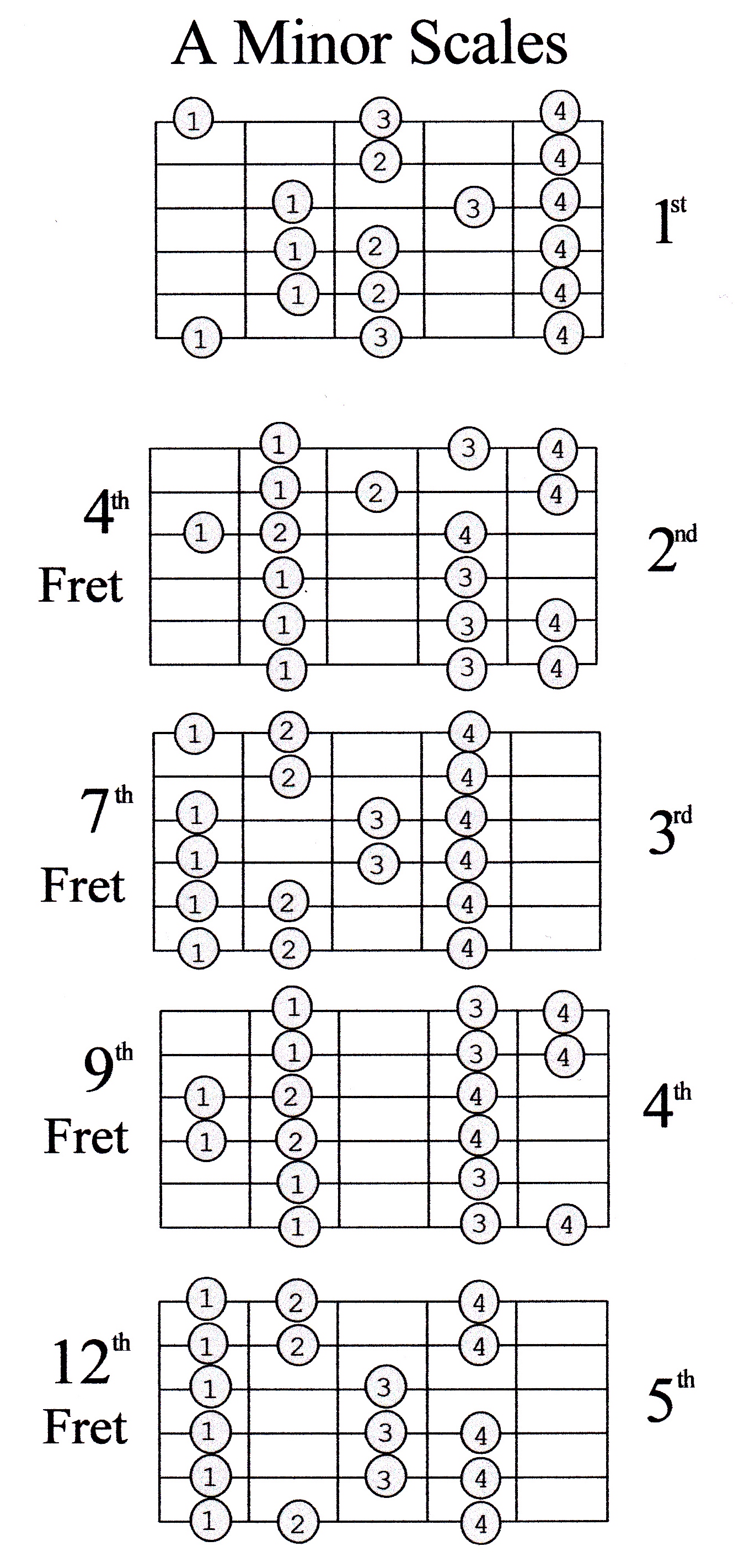 Guitar Scale Guide Beginner - Marcus Curtis Music